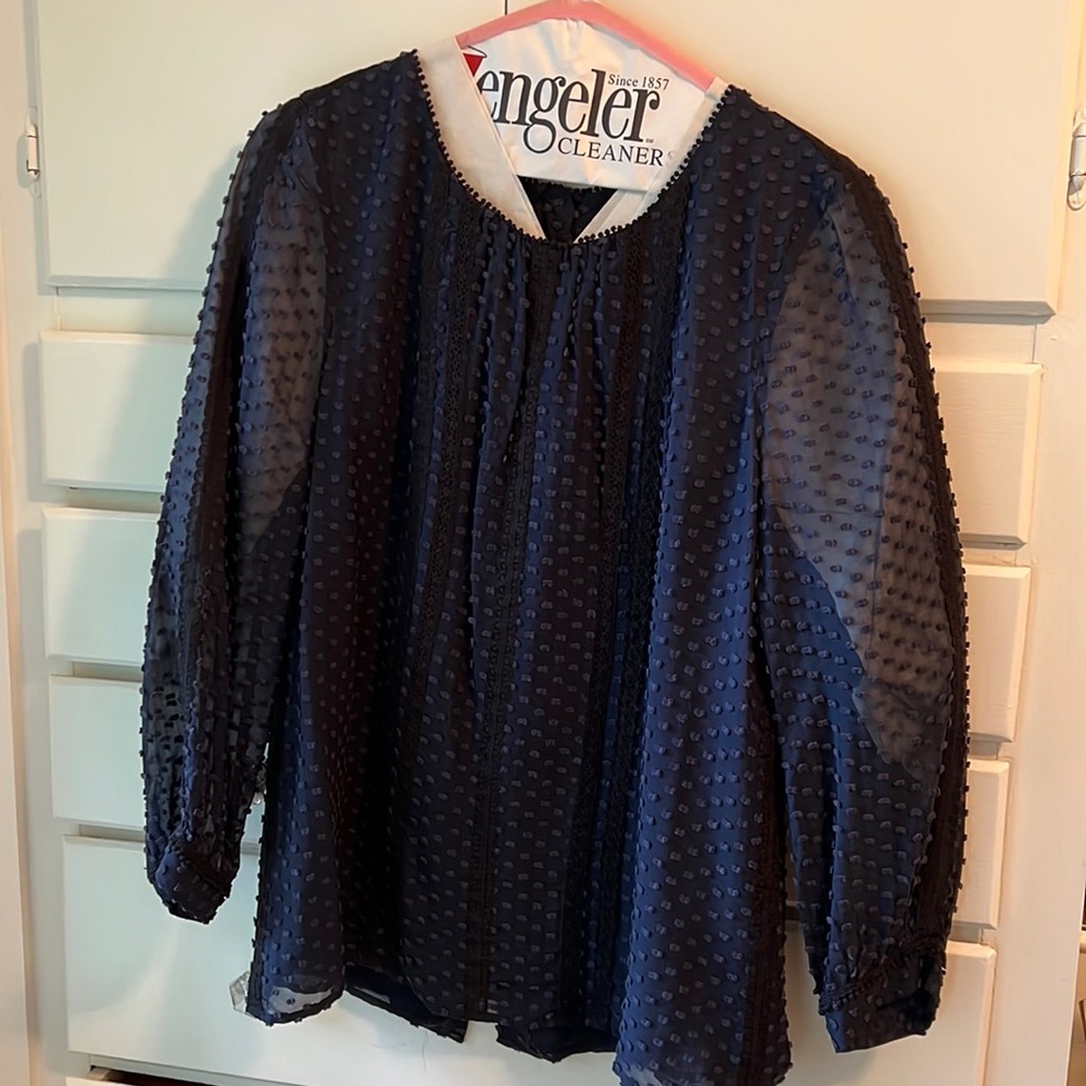 Jcrew blouse with sheer sleeves